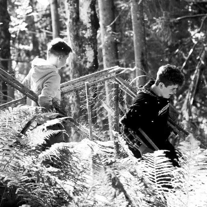 Der Bergwaldprojekt e.V. ist ein gemeinnütziger Verein, der sich seit 1991 mit jährlich über 2.500 Freiwilligen in rund 200 Projektwochen bundesweit für den Schutz, die Pflege und den Erhalt naturnaher Ökosysteme – insbesondere des Waldes – einsetzt.