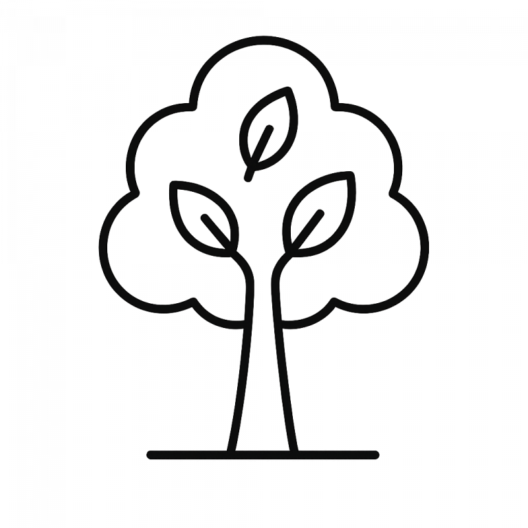 Engagement der Rolle-Stiftung im Bergwaldprojekt e. V.